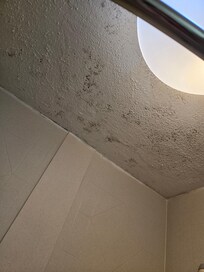 The ceiling