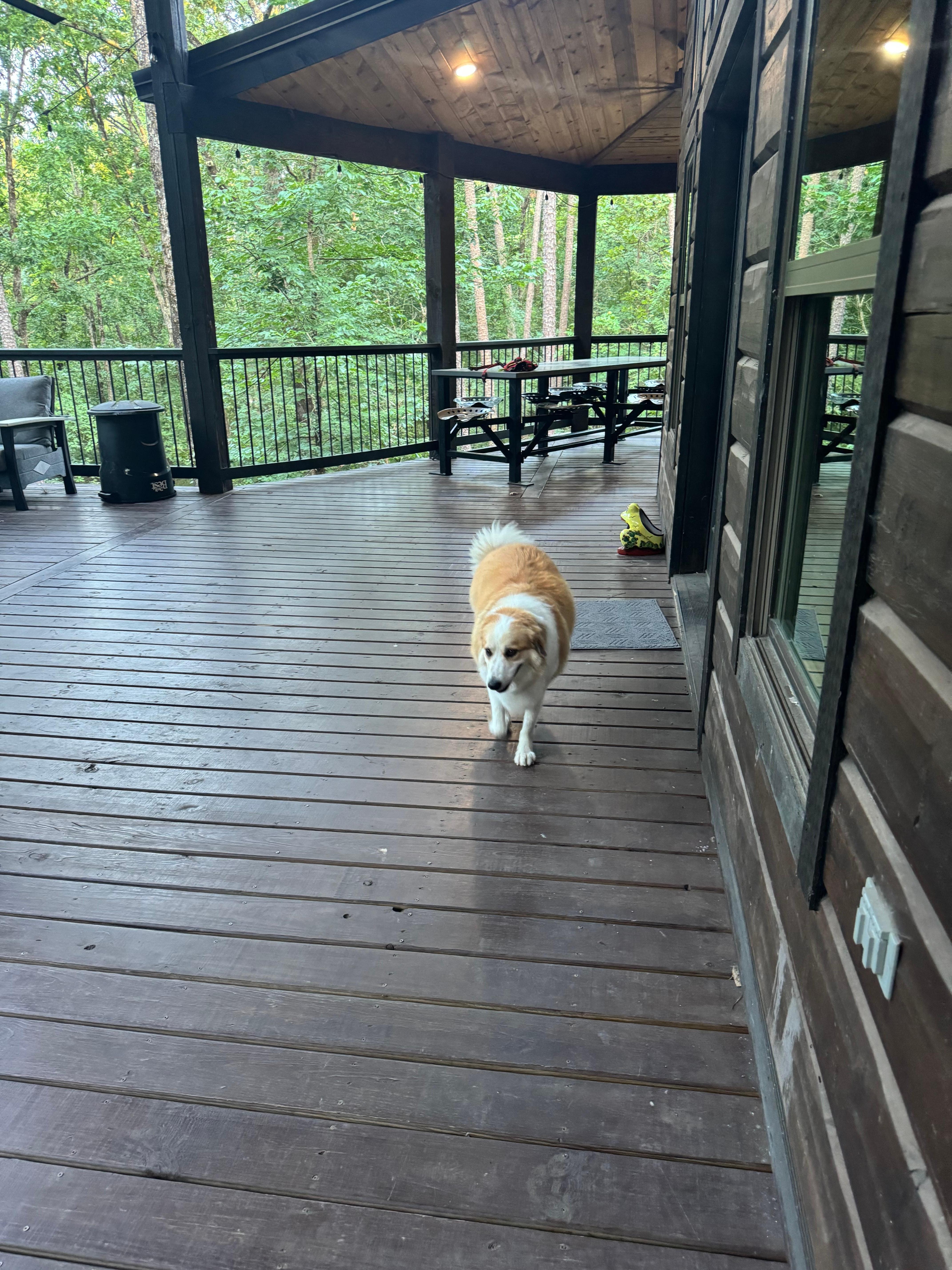 Back deck. No annoying bugs all day and evening. Perfect!!!