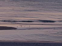 Views from 5th floor building C