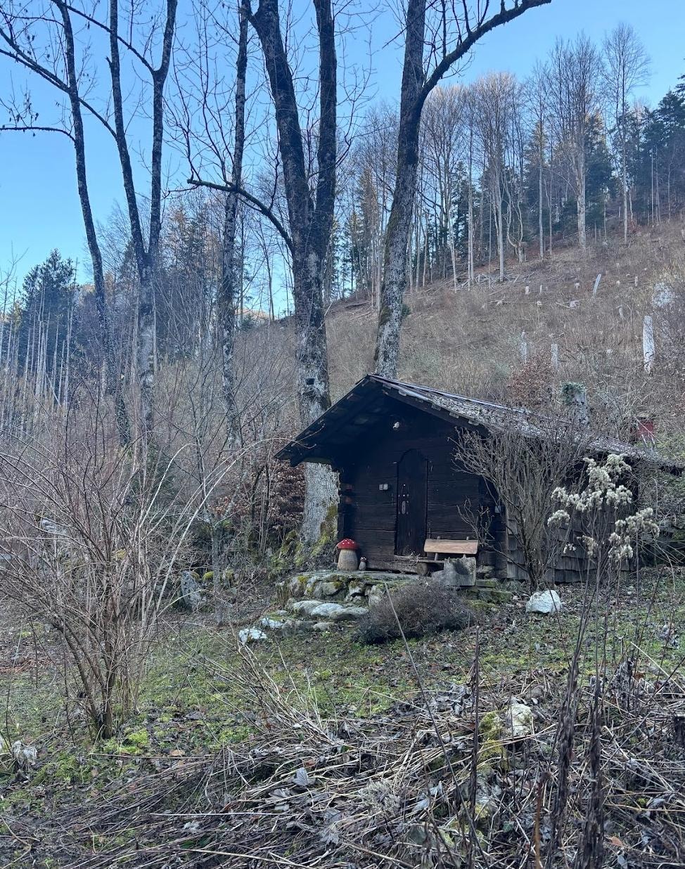 A lovely little hut for our son to play in! 