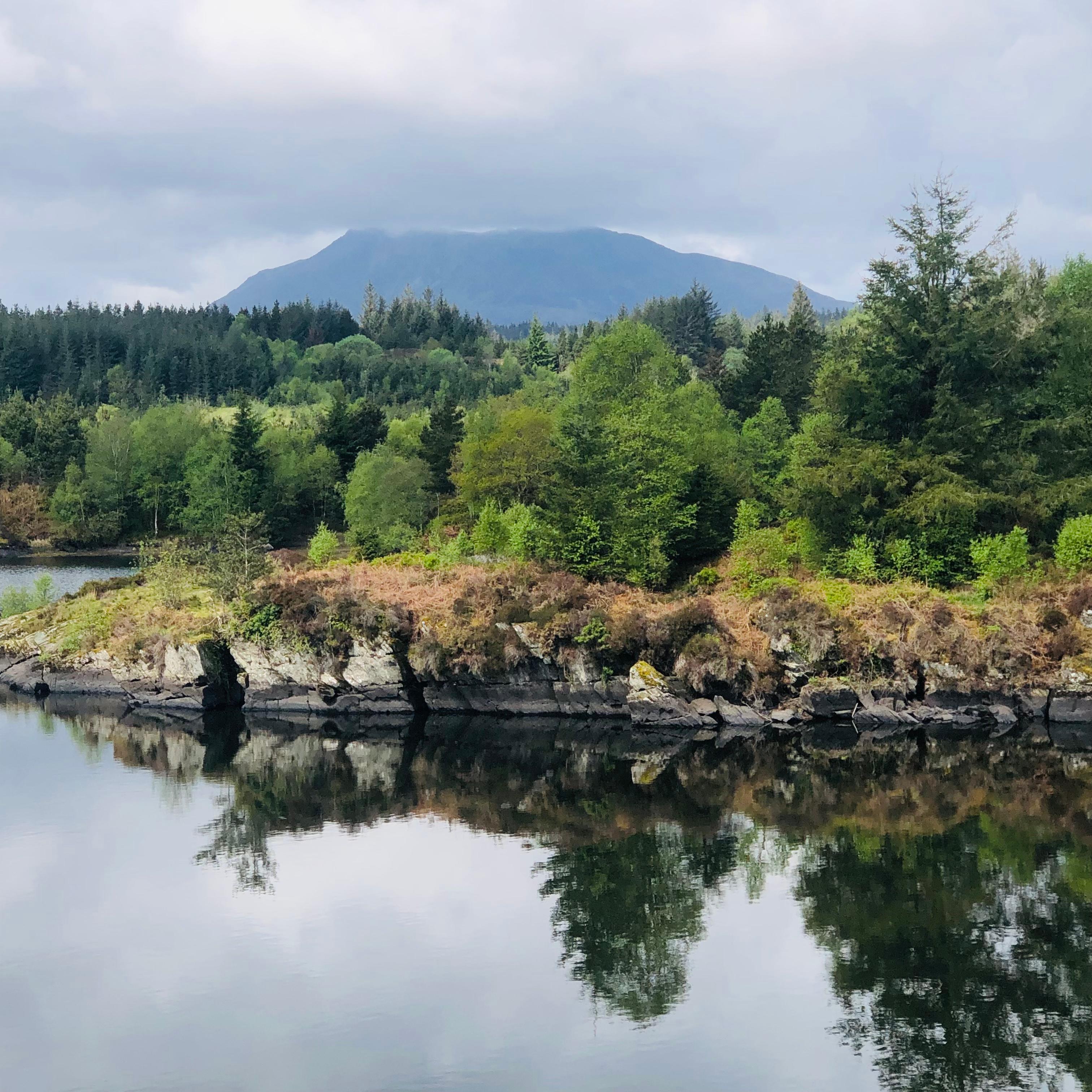 View from the lake walk.