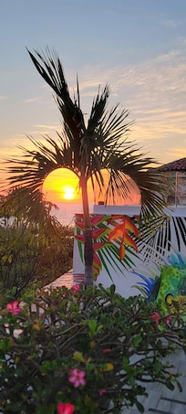 View from the top pool area
