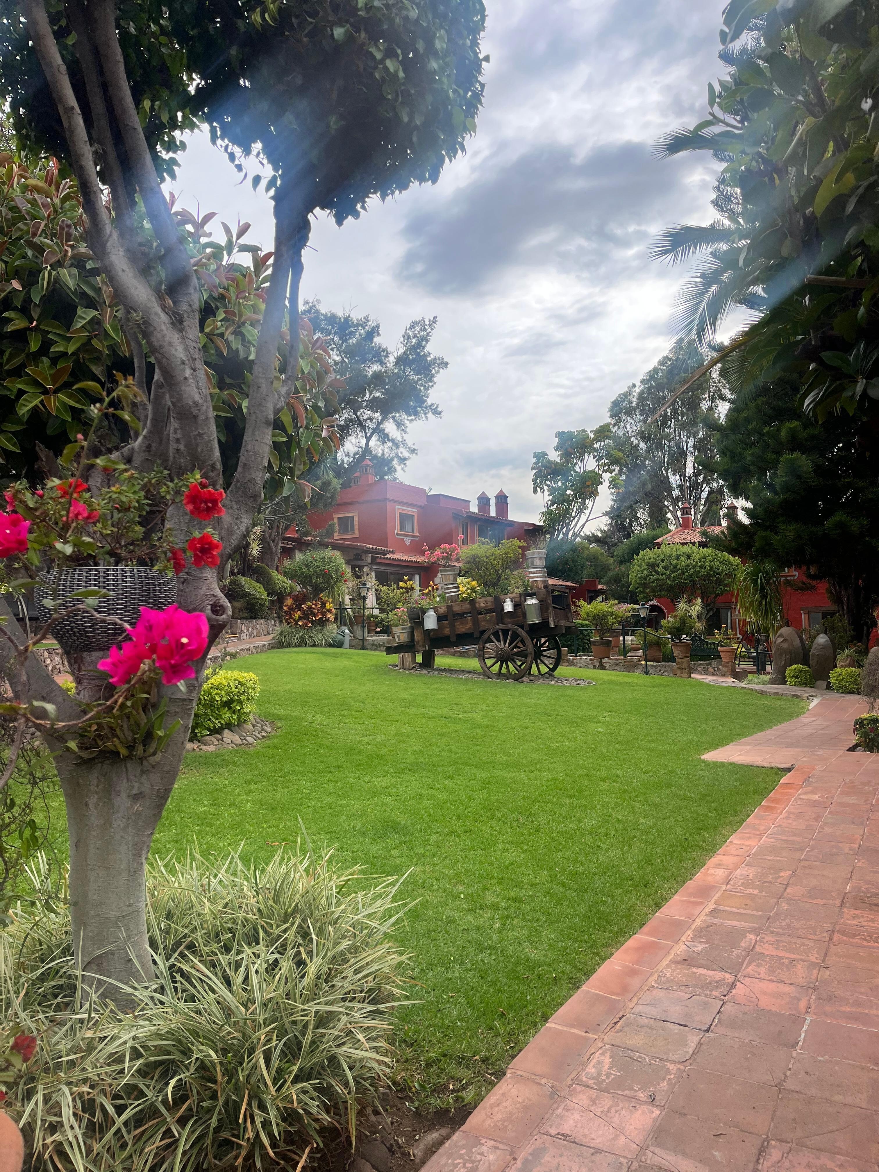 Jardín del Hotel