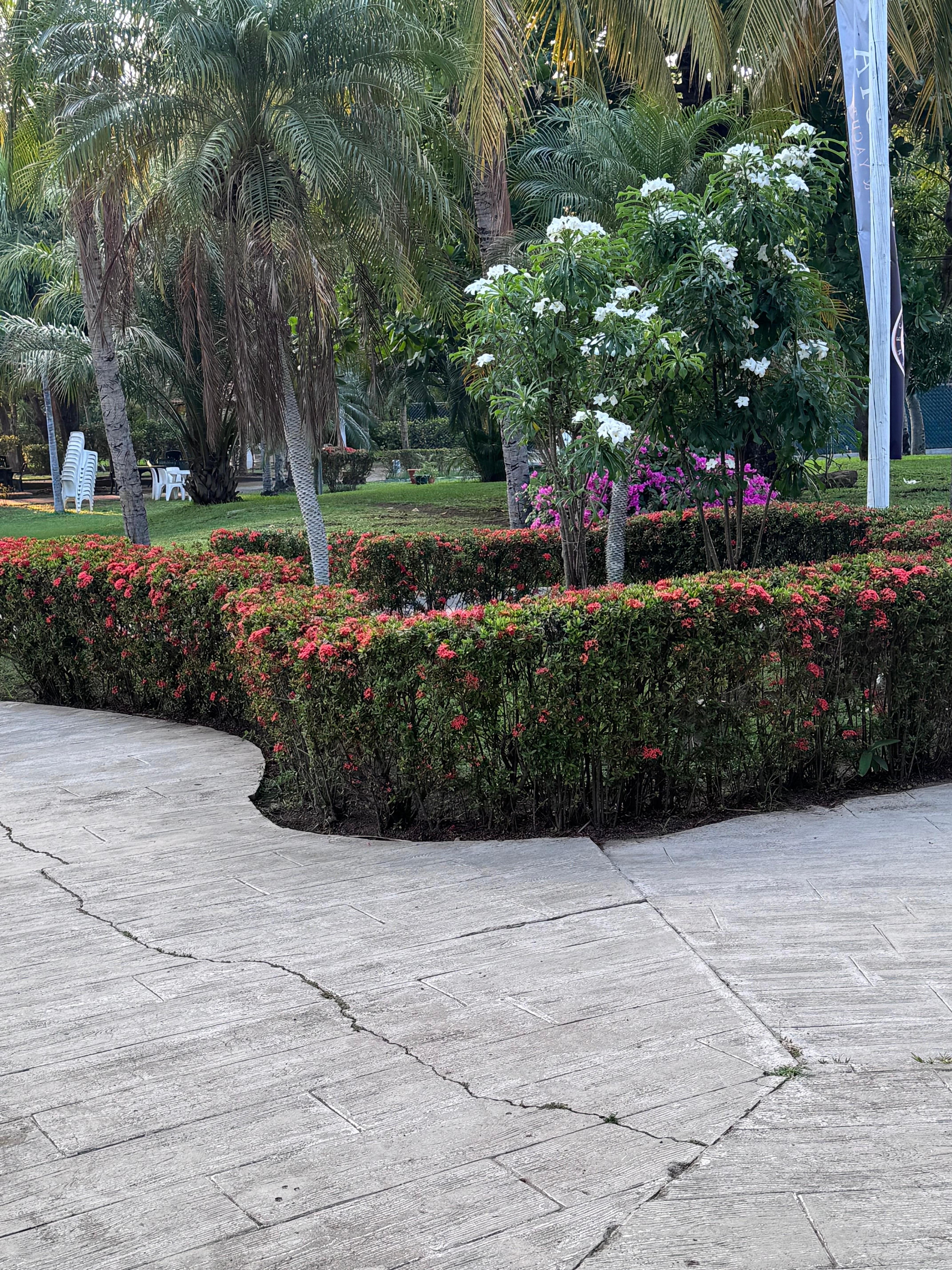Garden areas 