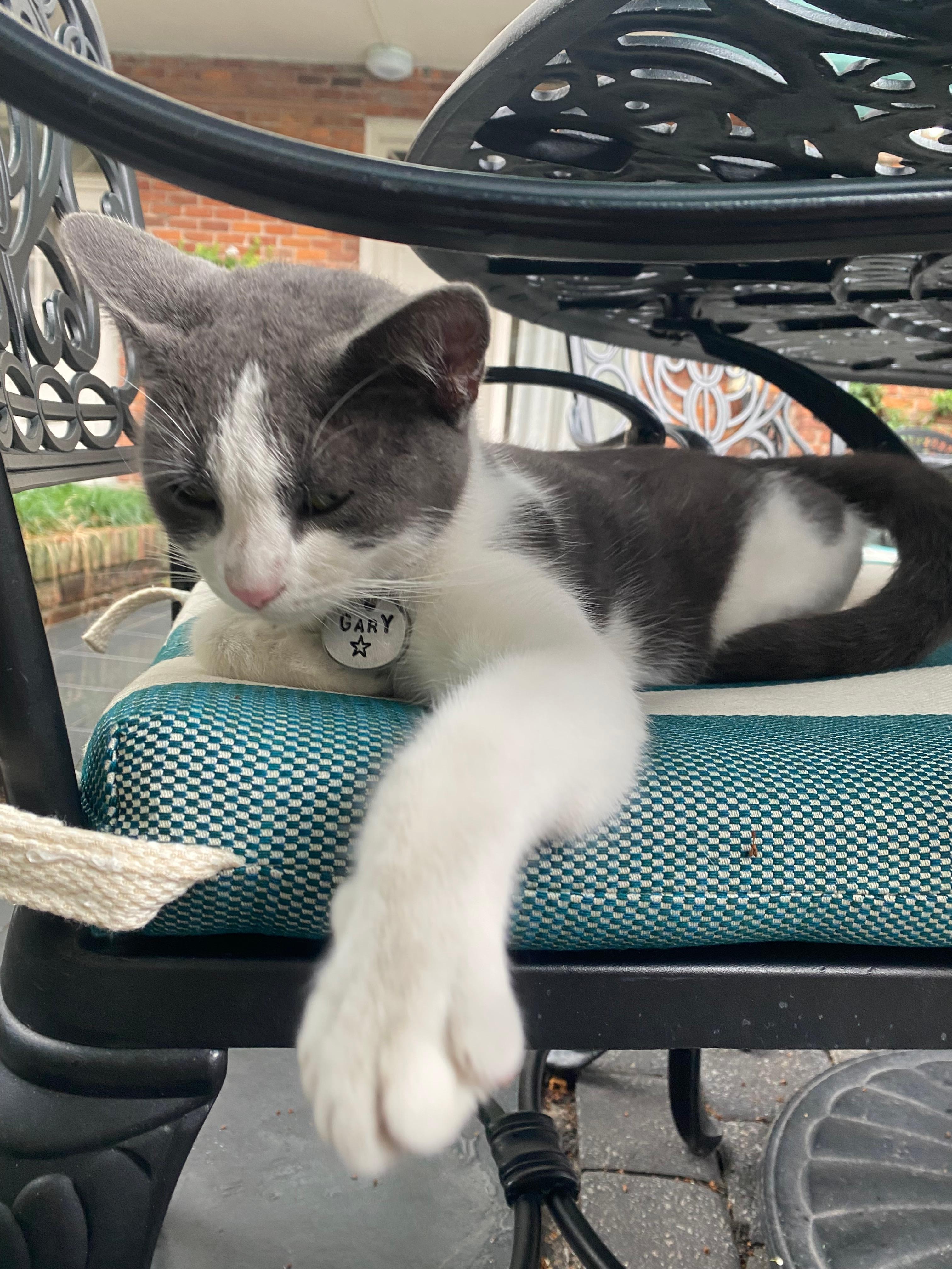 Gary, a permanent resident of the hotel. 