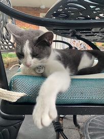 Gary, a permanent resident of the hotel.