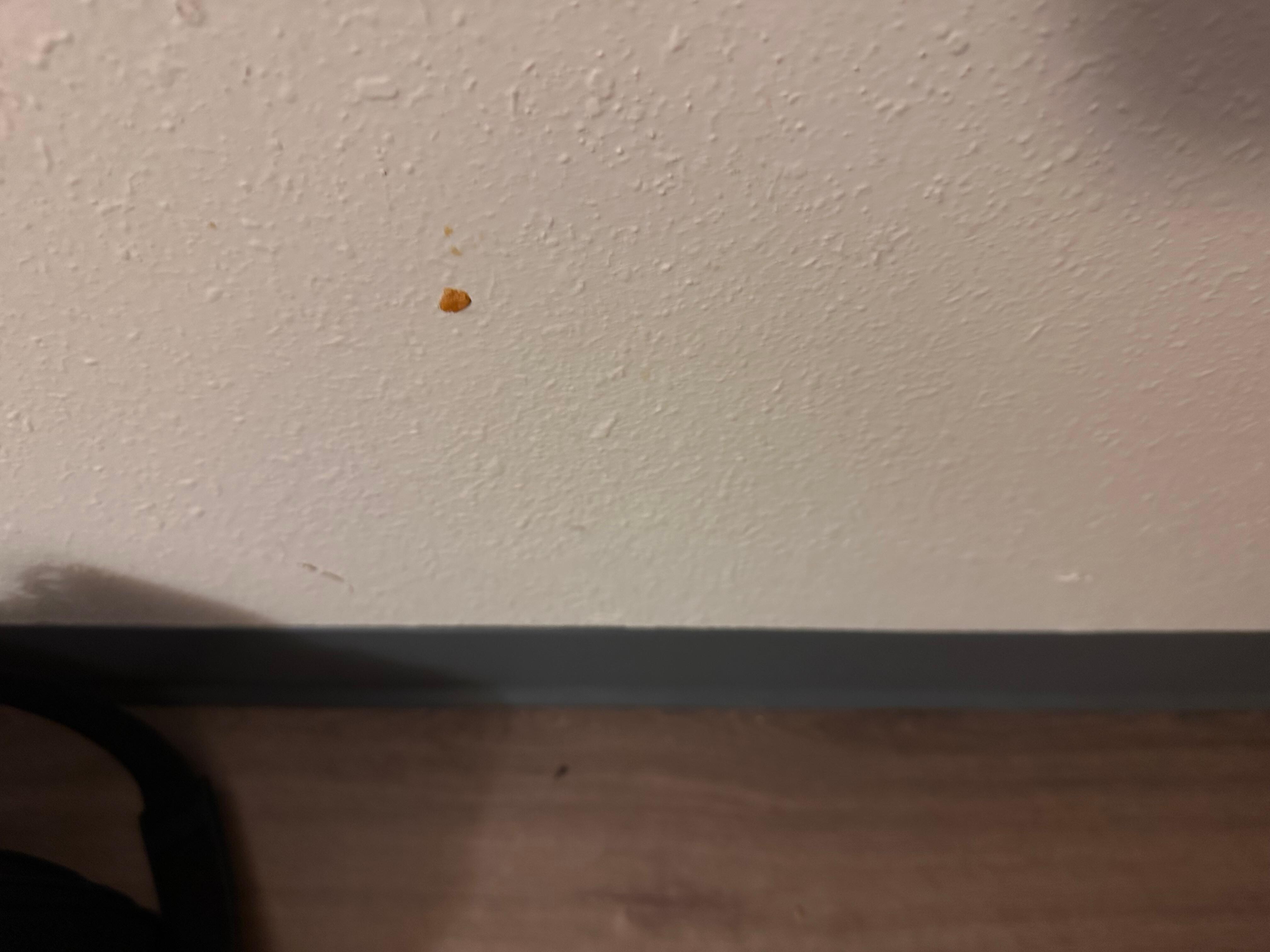 Not the best picture but there was food and stuff all over the walls.