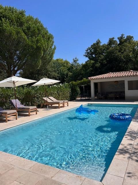 het heerlijke zwembad en pool house