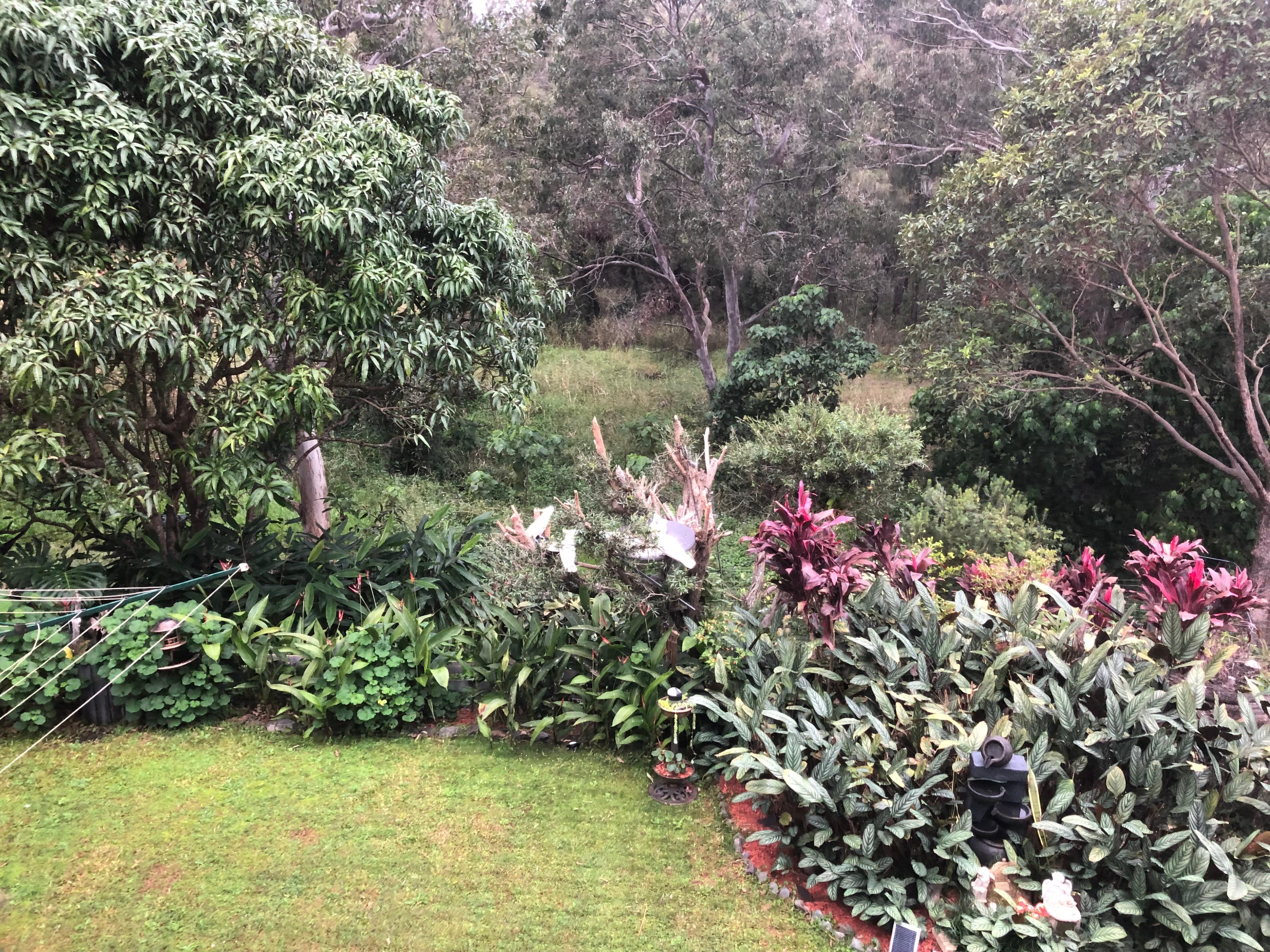 Breakfast for the bird life 