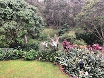 Breakfast for the bird life