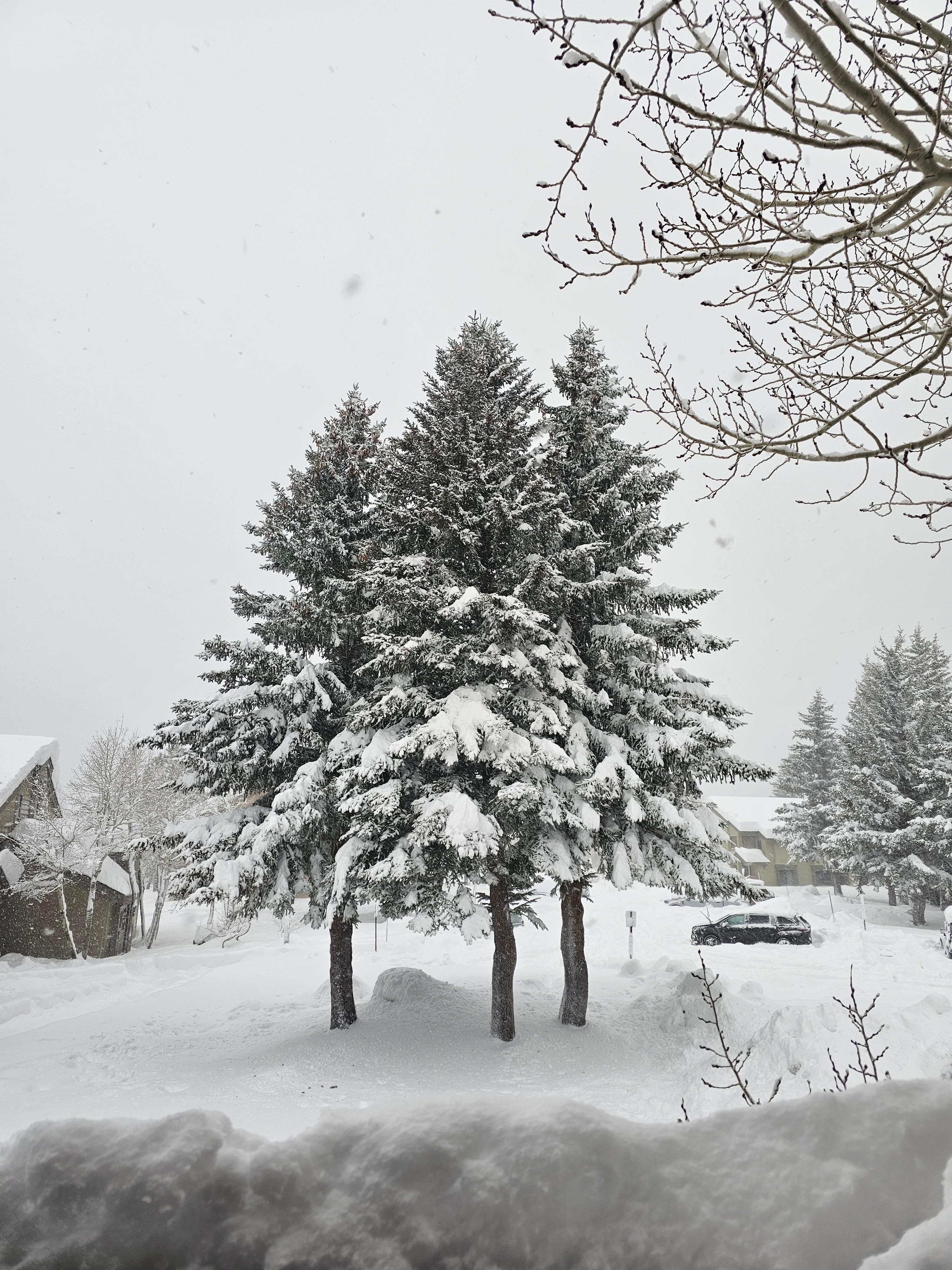 the view from the bedrooms