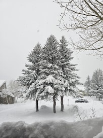 the view from the bedrooms