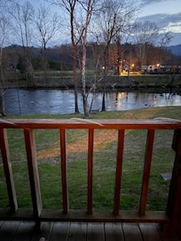 The view from the back porch