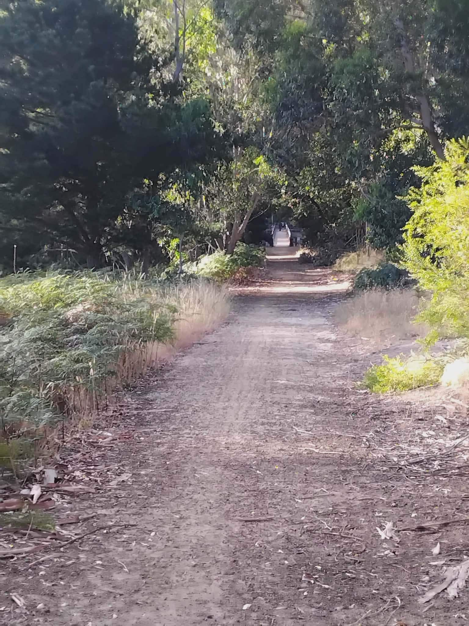 Looking towards the old rail bridge on a walk into Nannup township