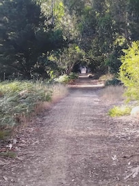 Looking towards the old rail bridge on a walk into Nannup township