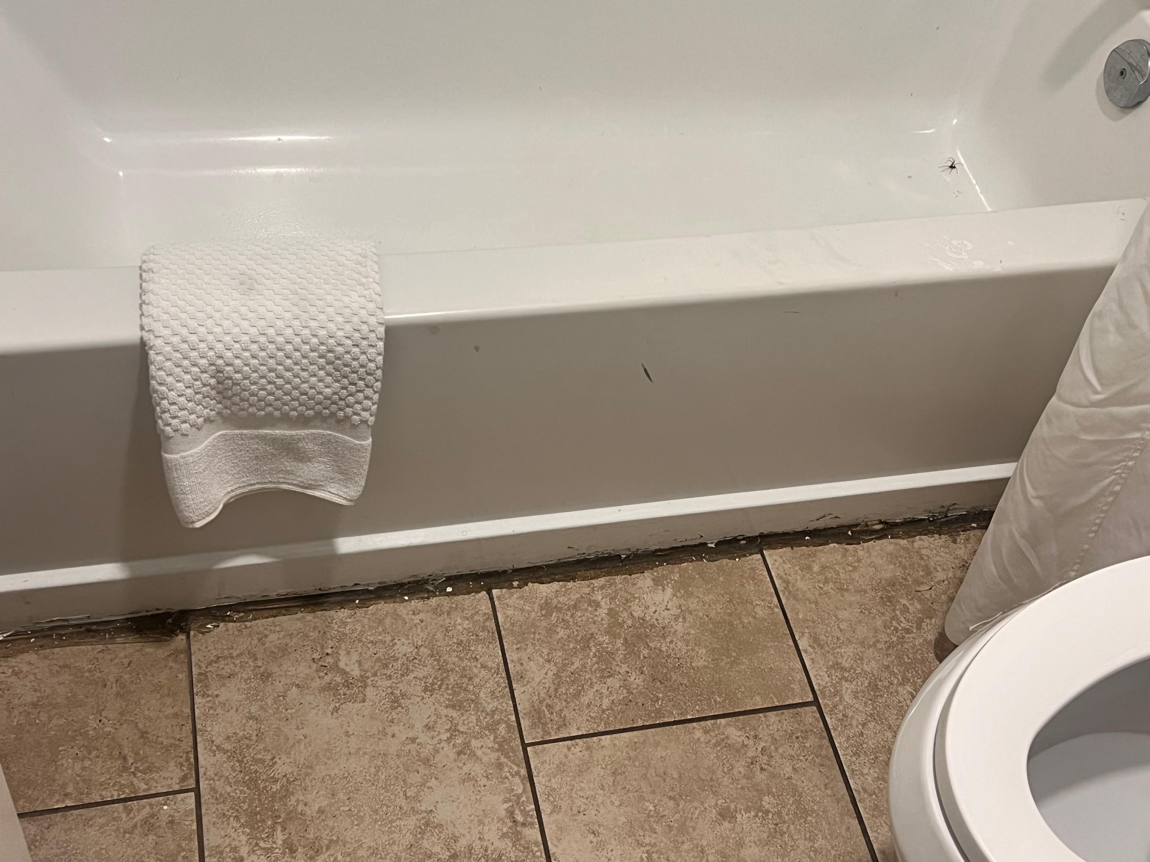 Tub was nasty and poorly taken care of 