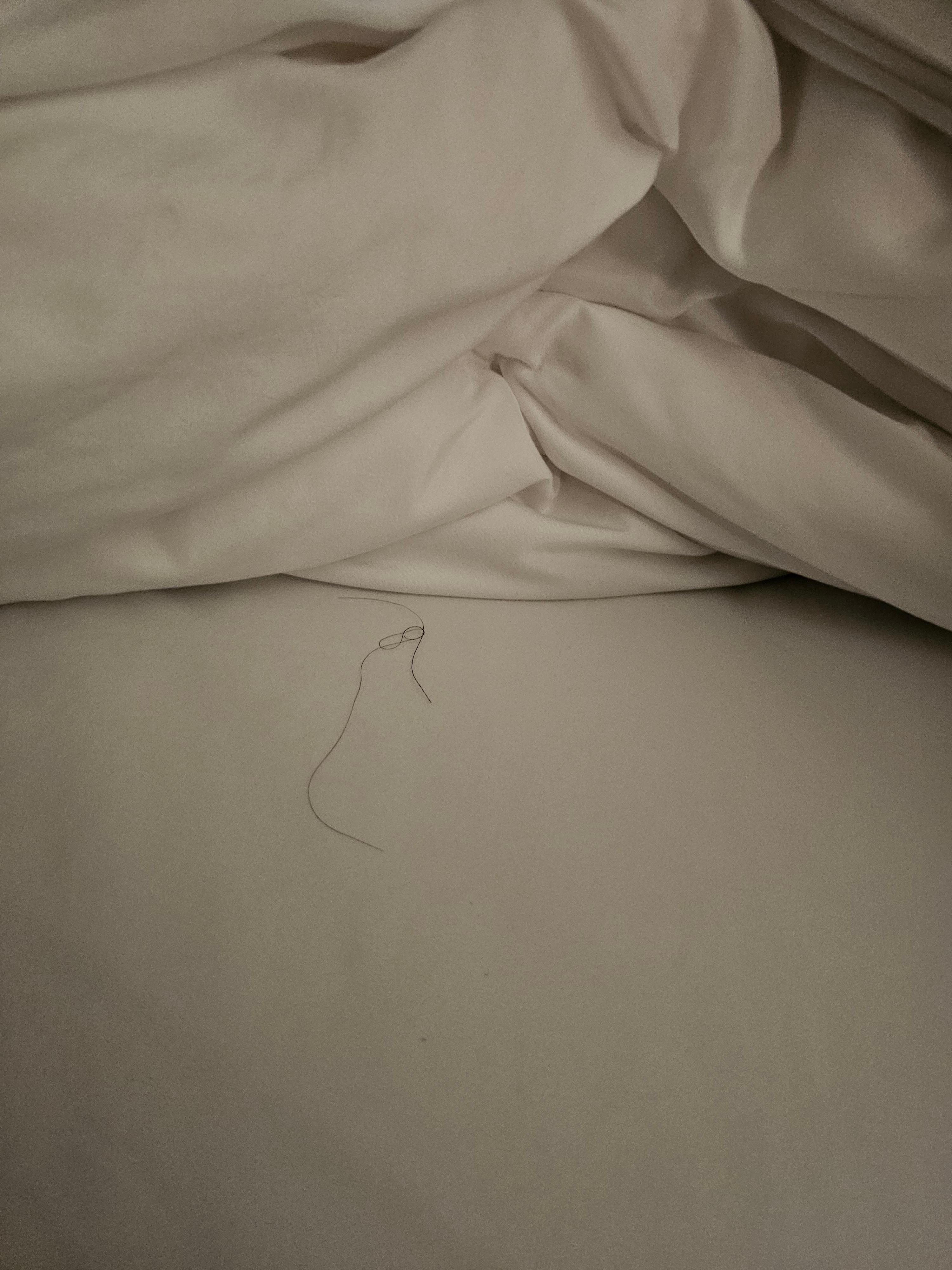 Hair in the bed. 