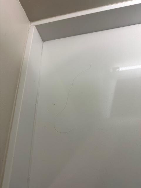 Hair in the bathroom 