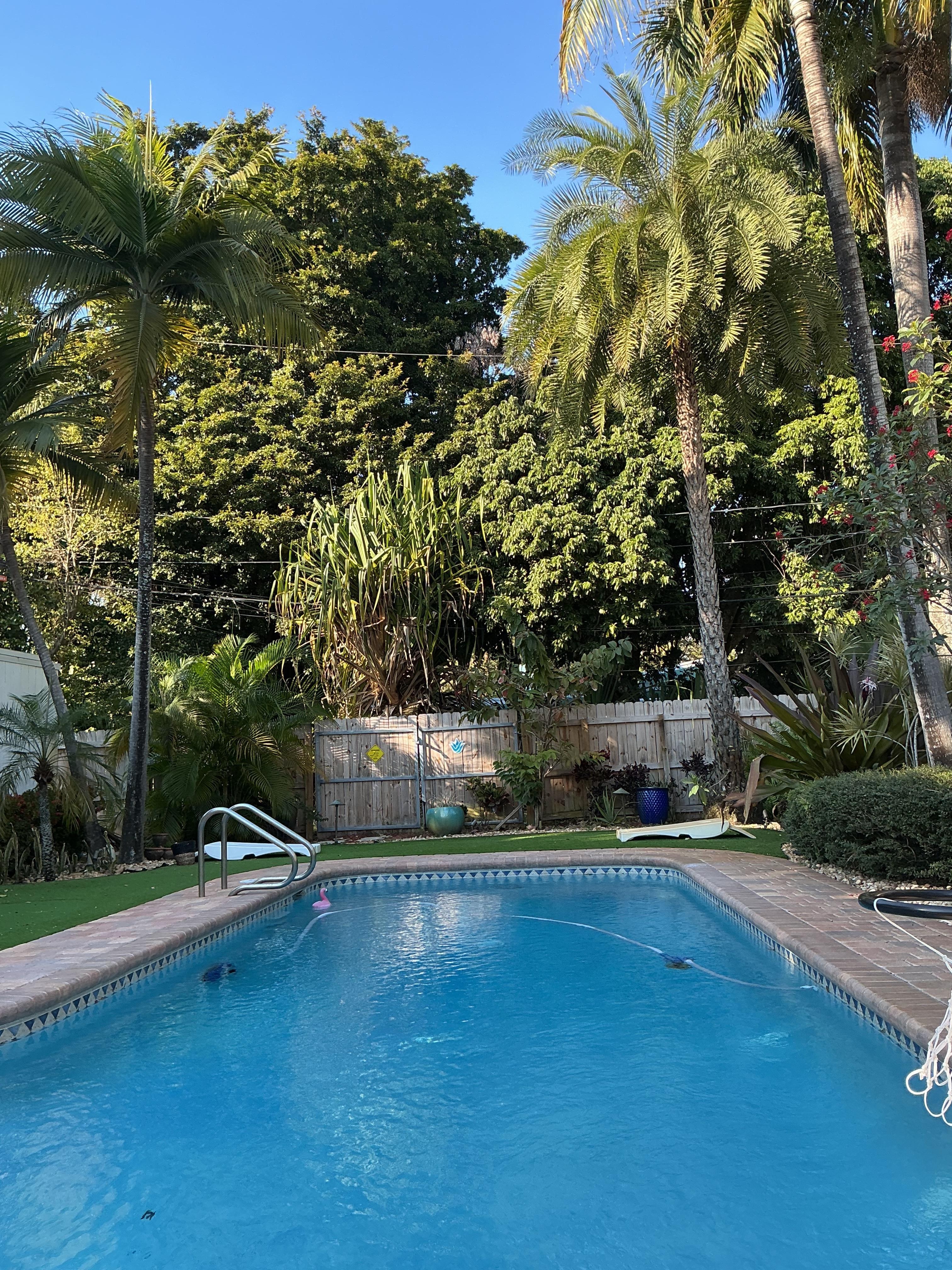 Our own private pool for a week