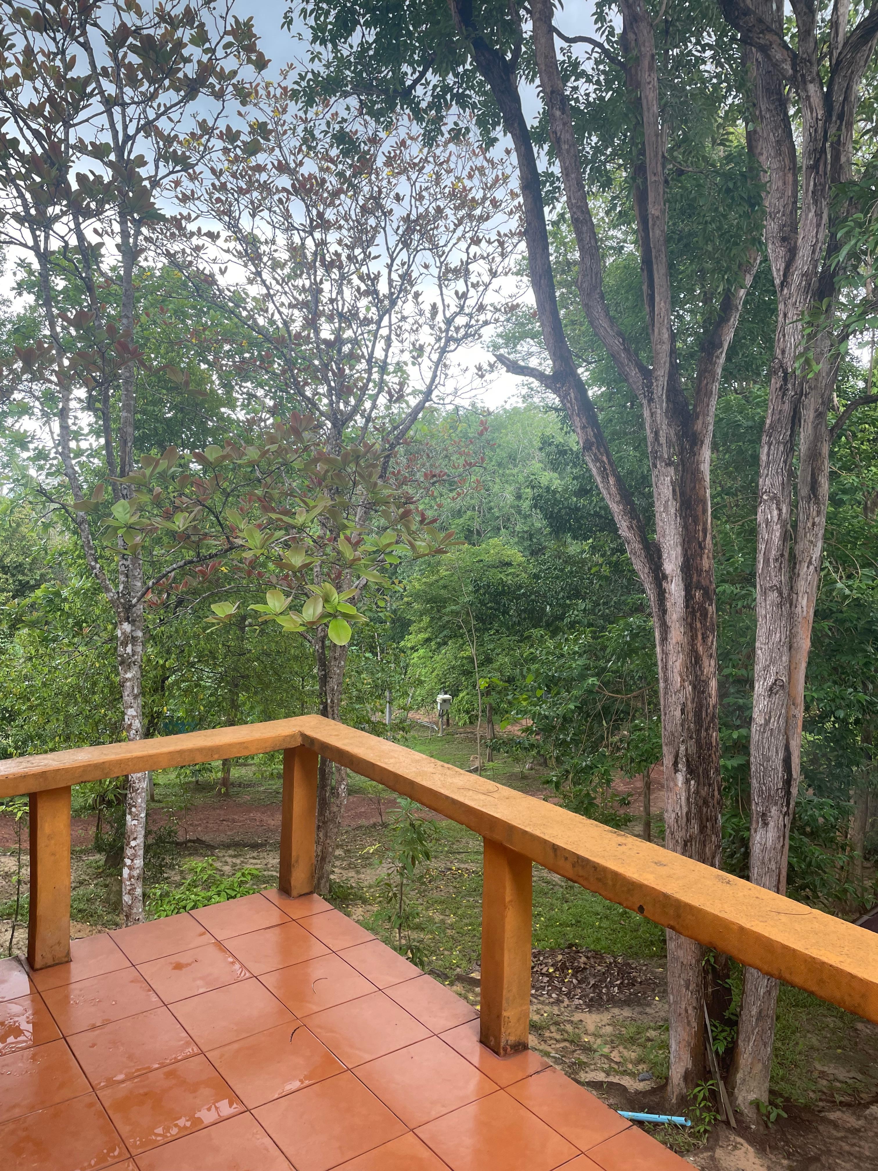 View from my balcony