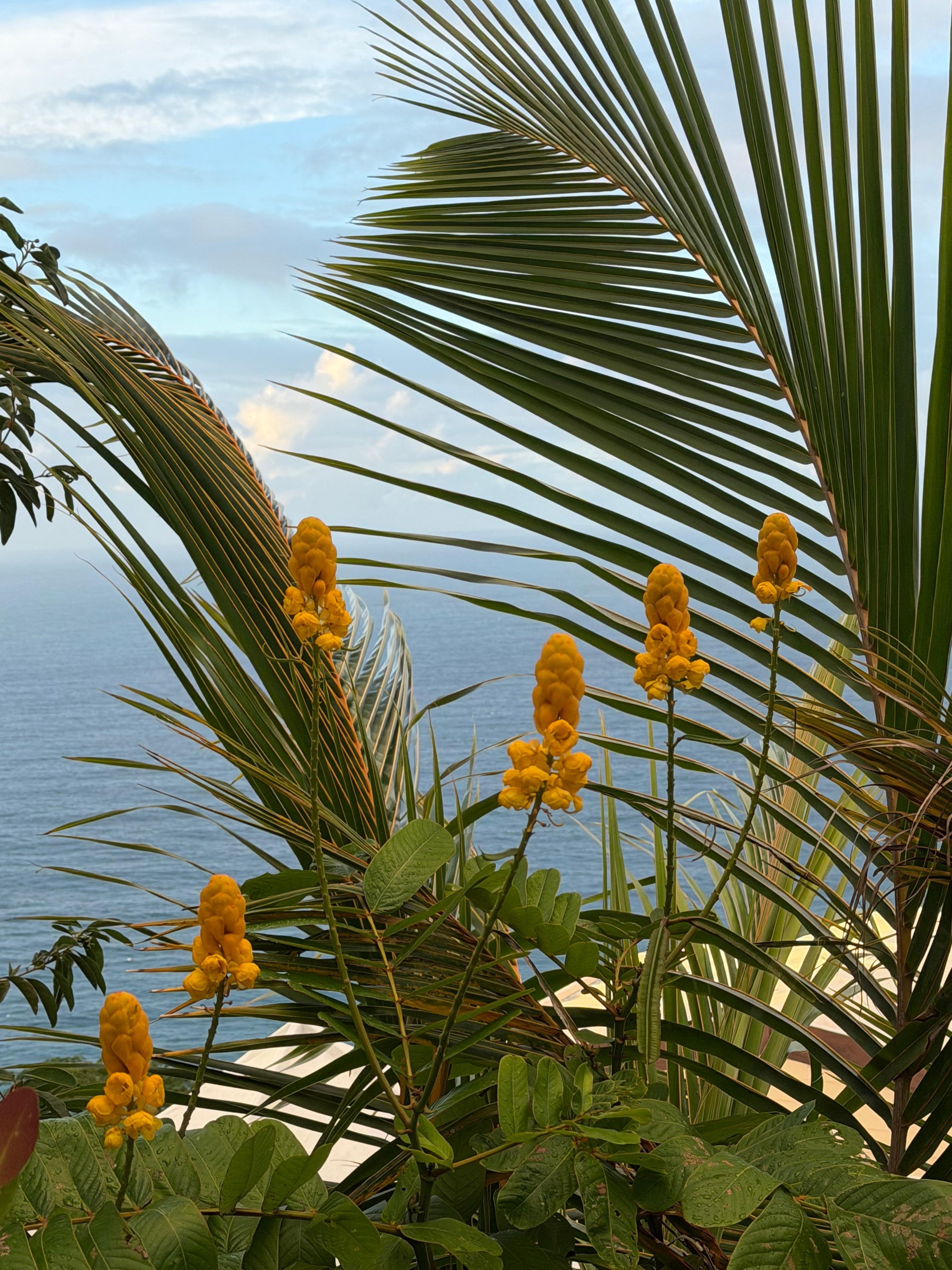 Lots of beautiful flowers and plants on the property. 