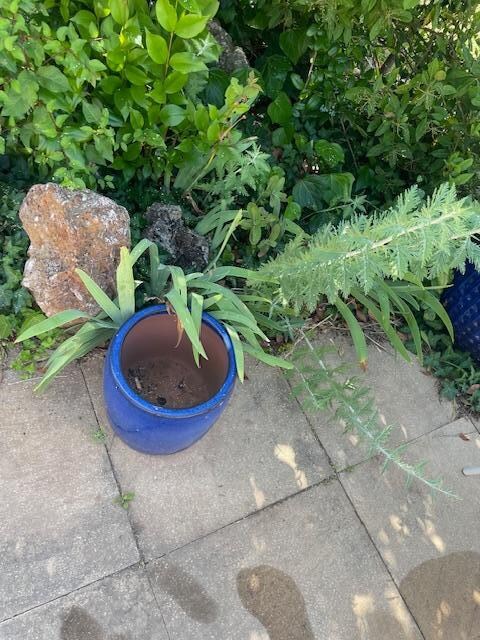jardineras vacias