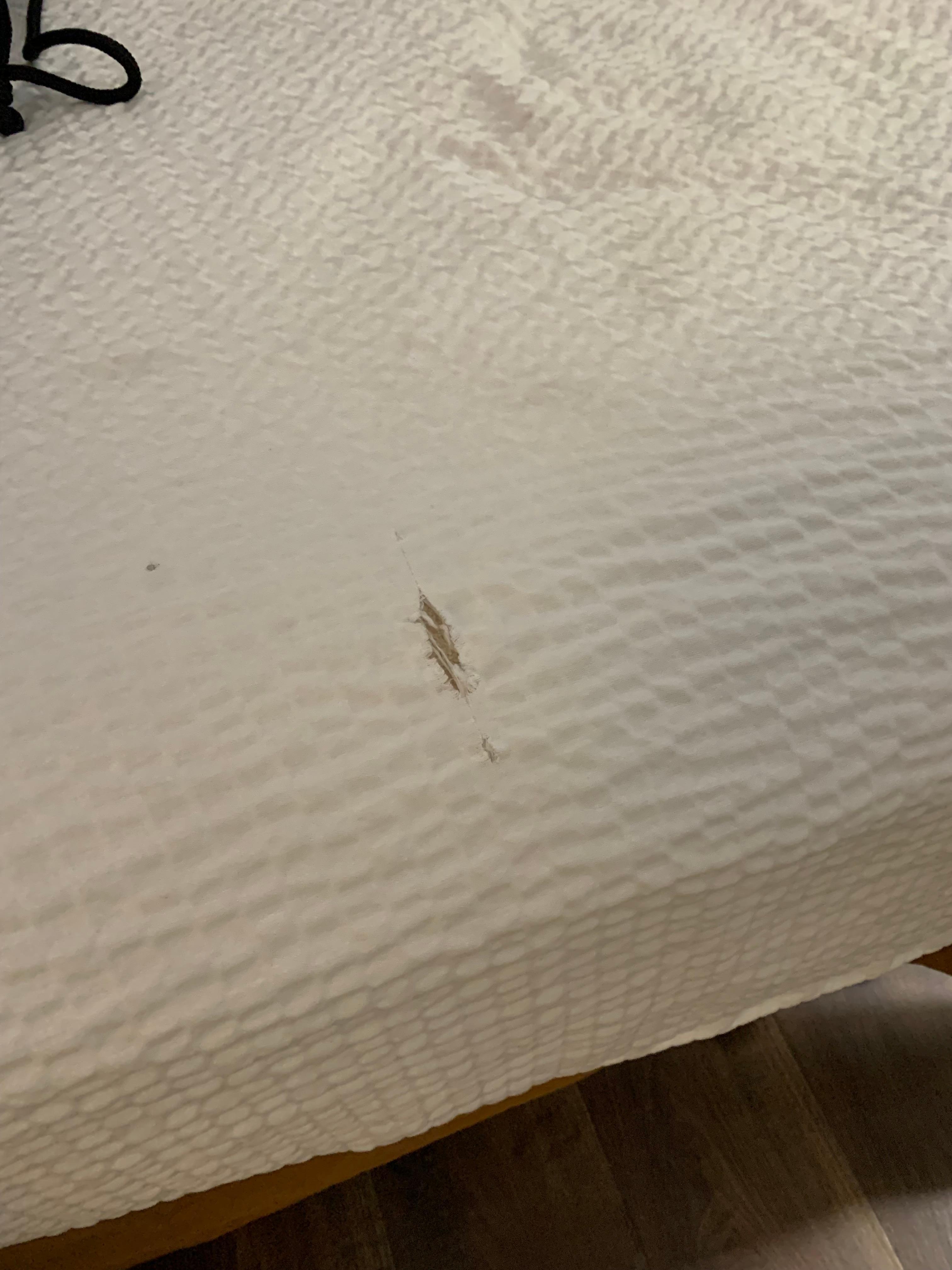 More stain we don’t want to describe but know what it is