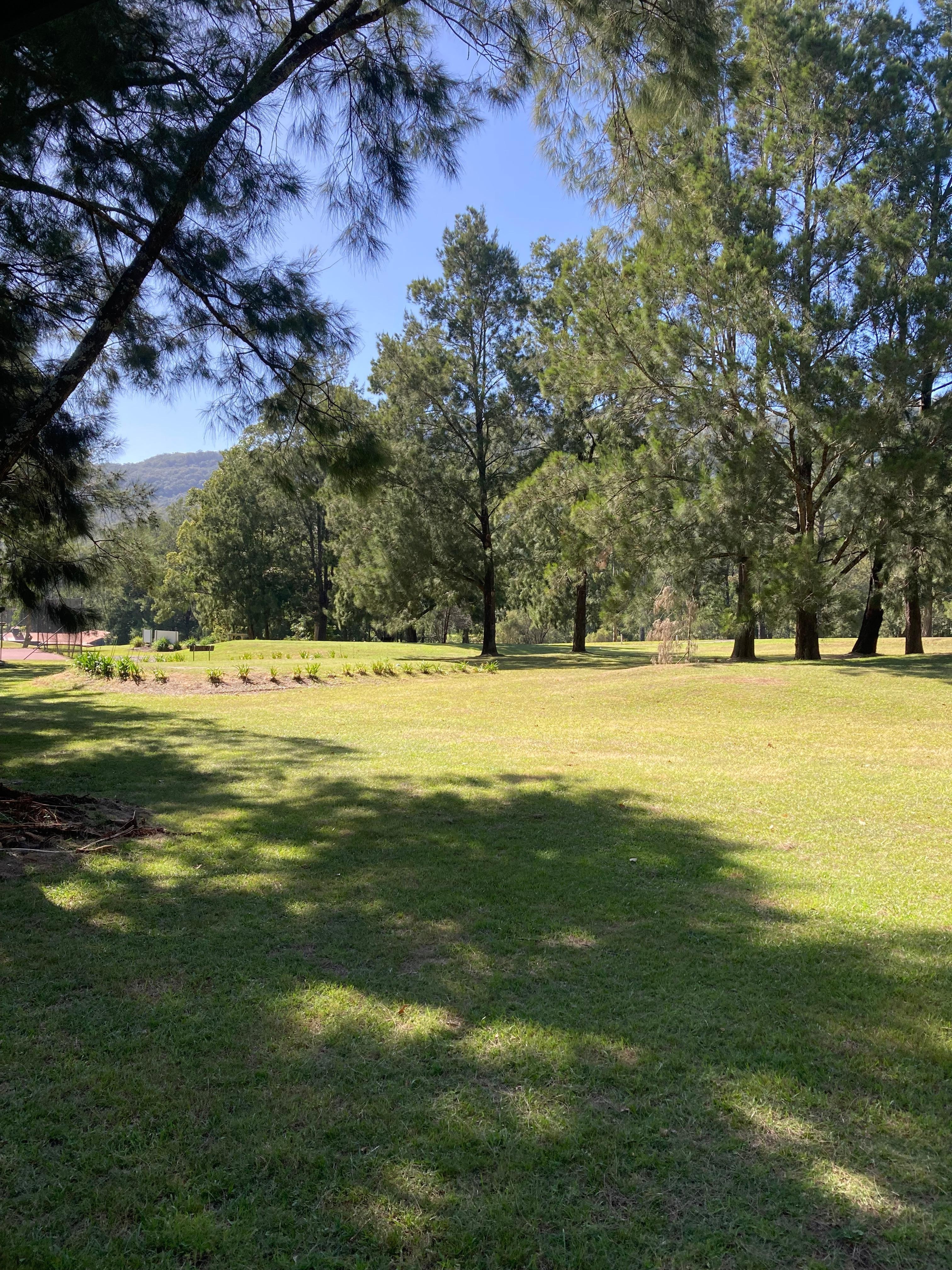 Outlook from the back deck. 
