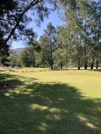 Outlook from the back deck.