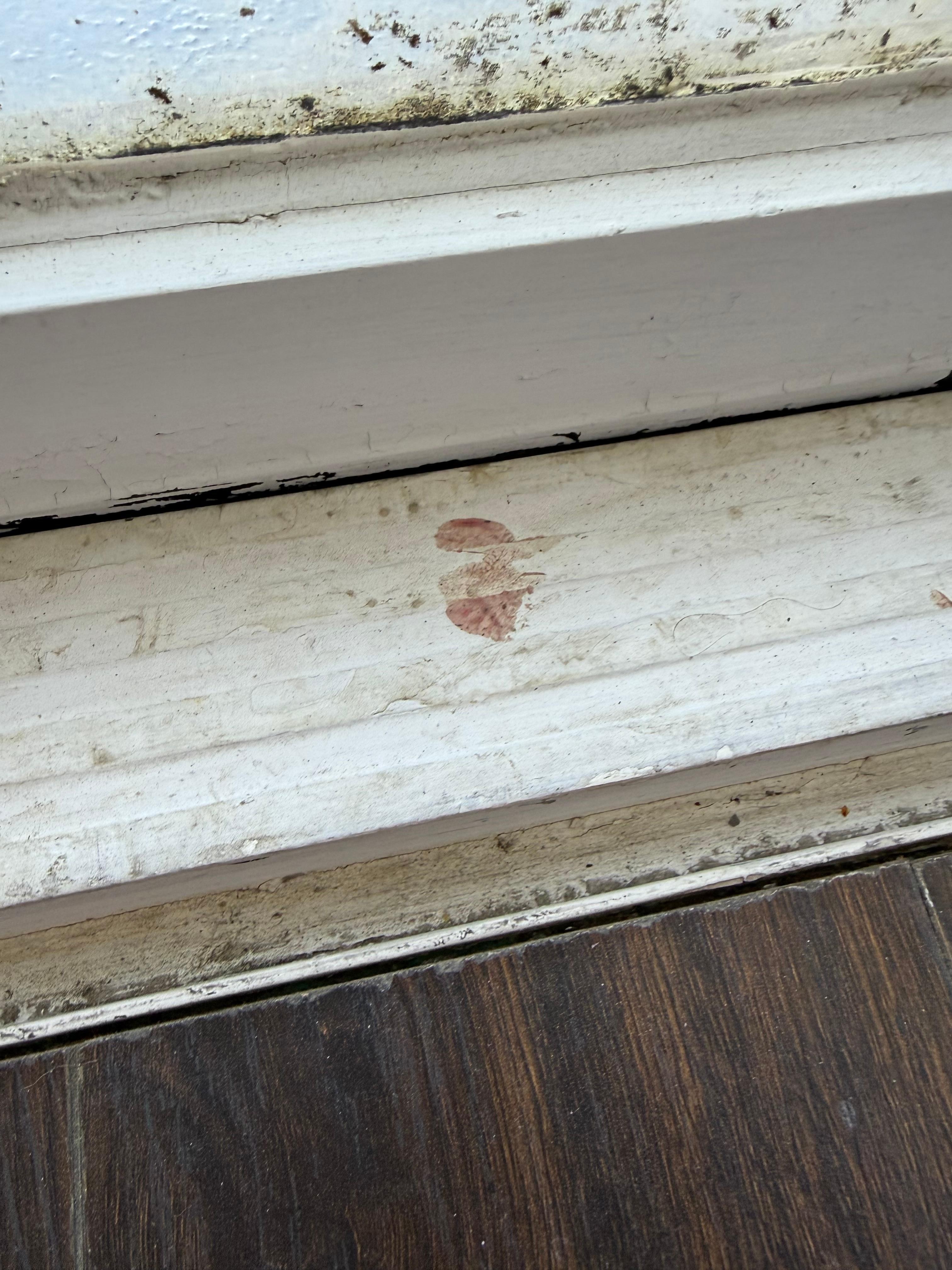 Stained balcony doorframe