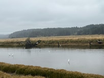 On the way to Coquille