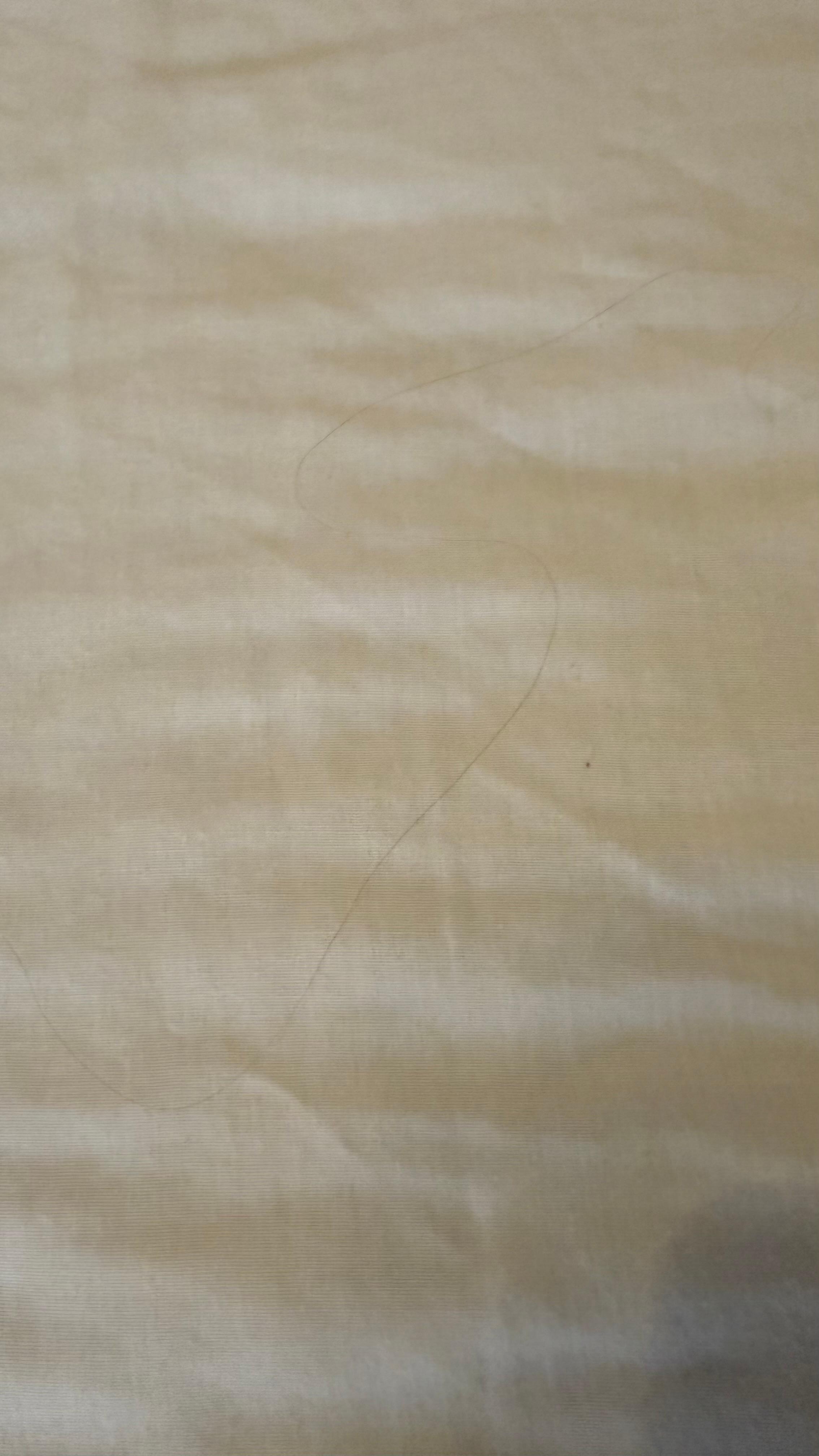 Hair that wasn’t ours