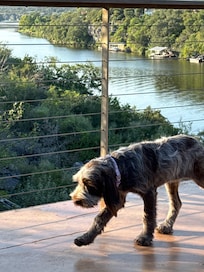 Porch view!