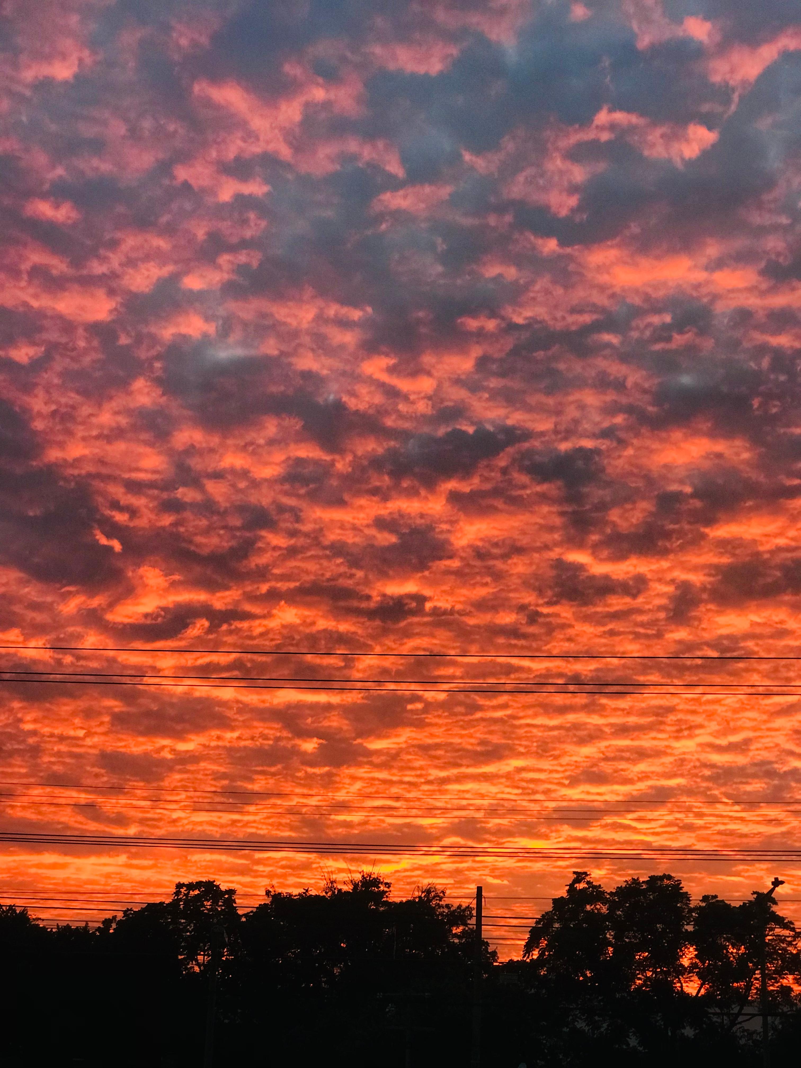 Palenque sunset 