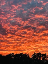 Palenque sunset