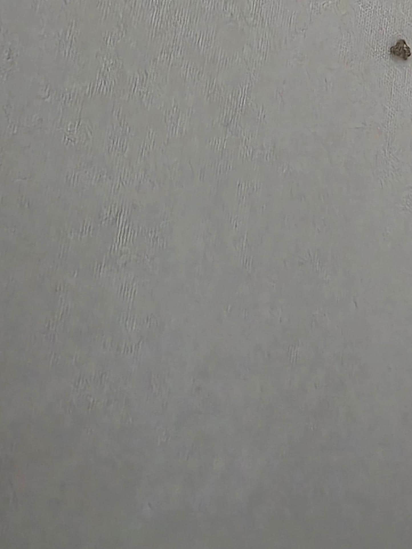 Bedbugs with blood on the sheets. We have several others too
