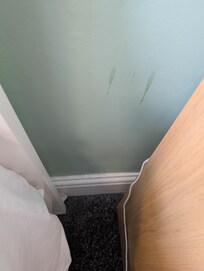 Spills down the wall