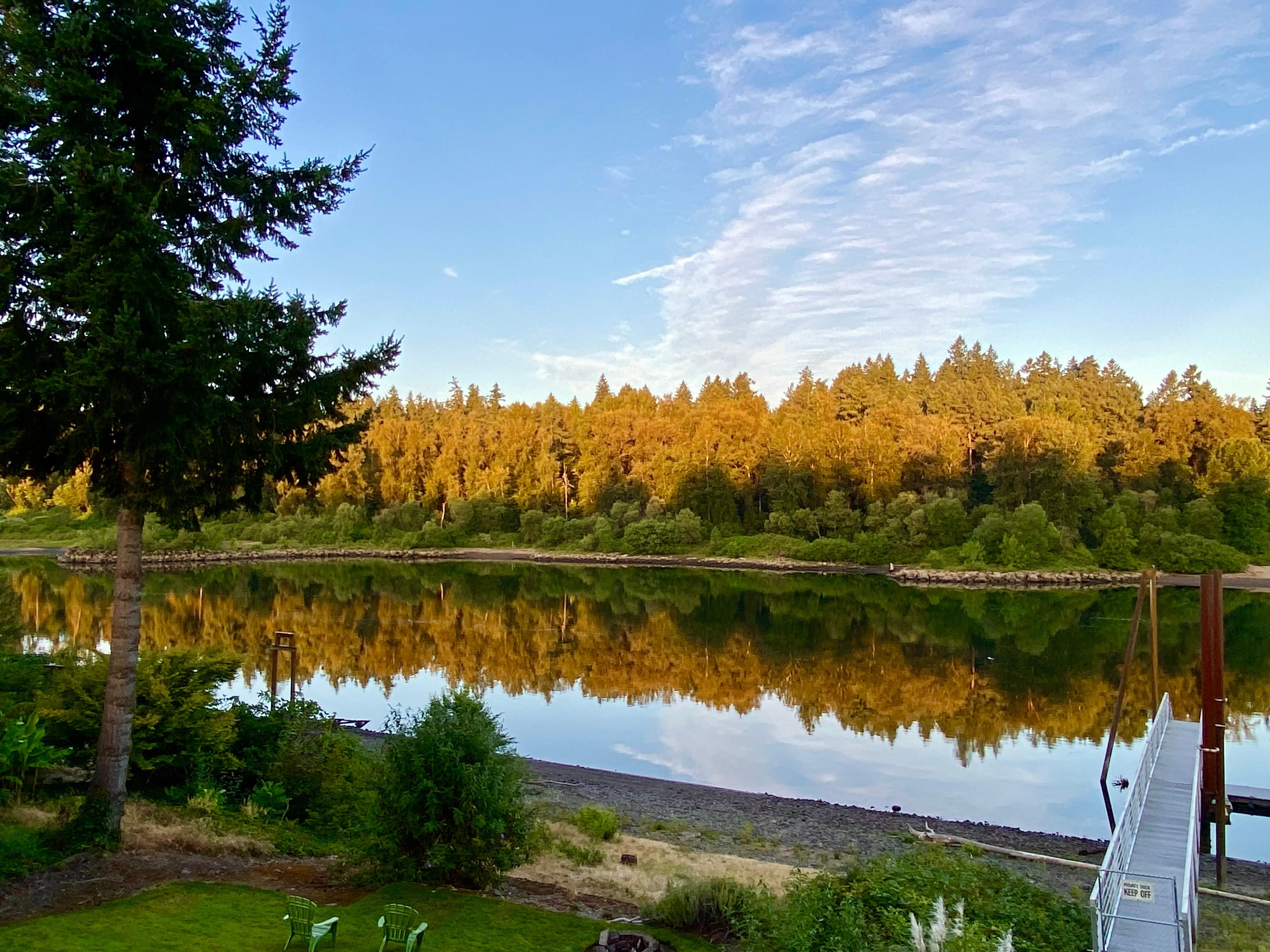 TA 5:45 AM view of the river casts sunlight on the green trees so they look golden! Worth waking up for. 