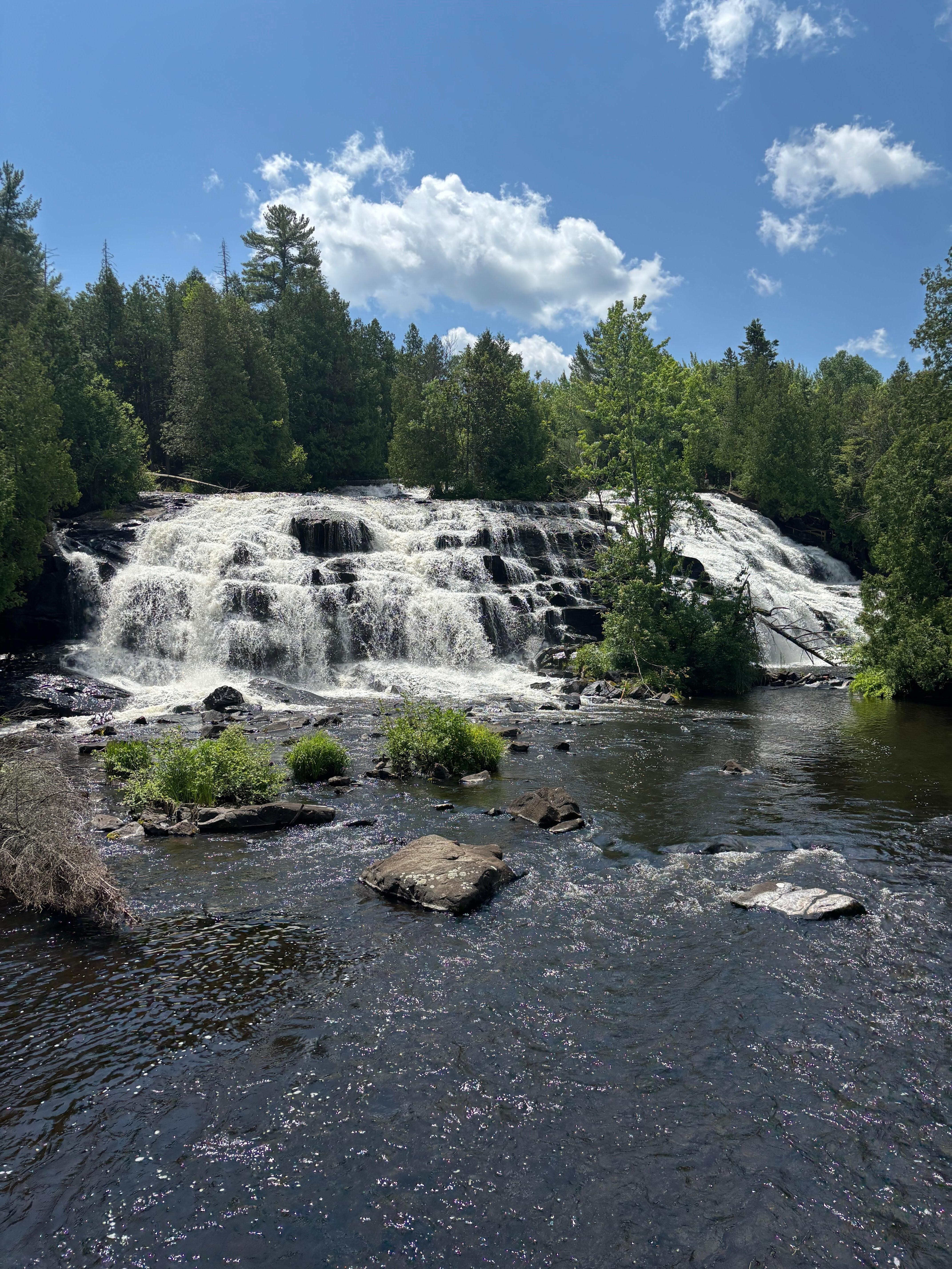 Bond falls 