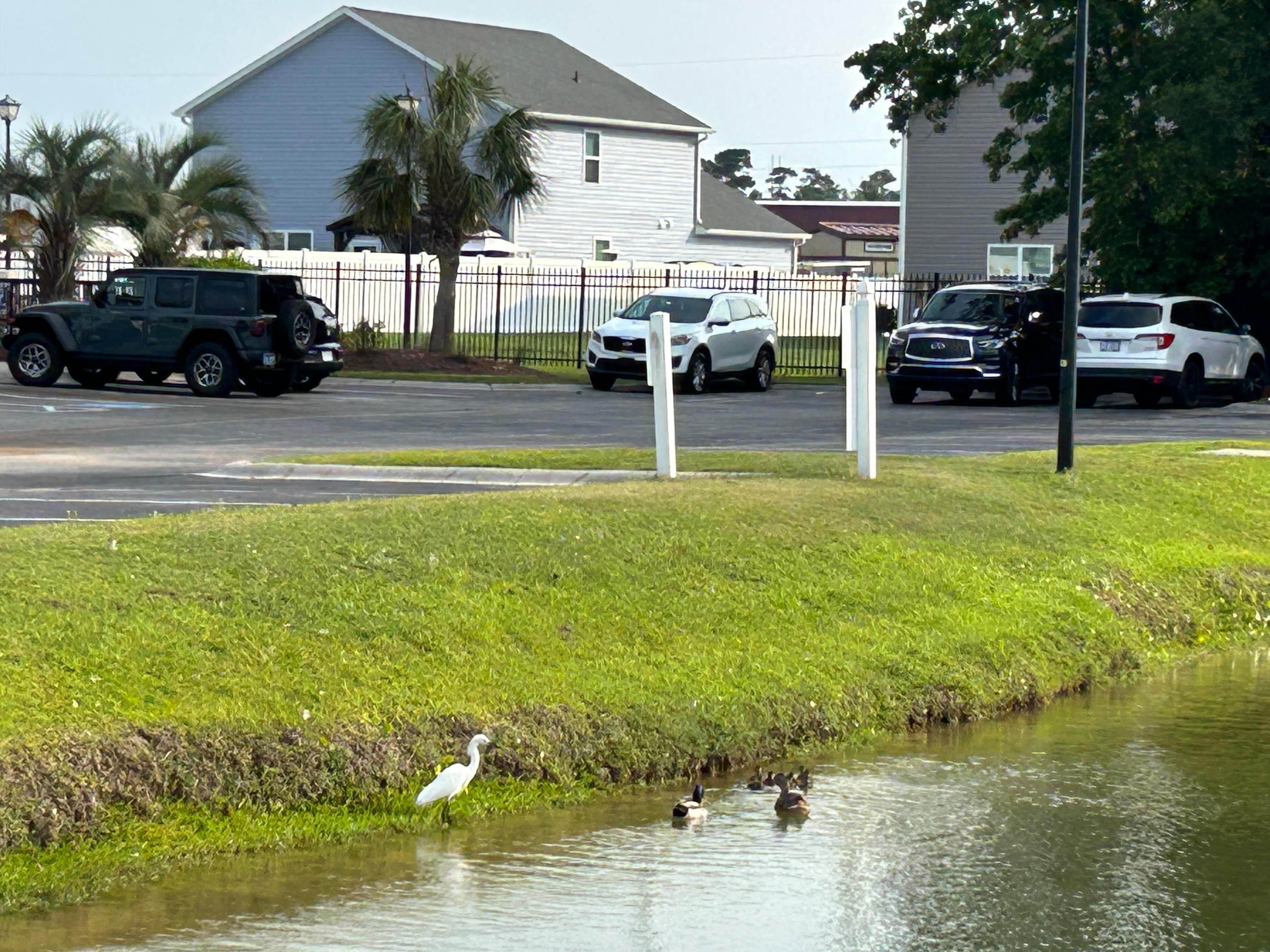 Clubhouse area - pool located on the side 