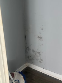 Mold on bedroom closet wall
