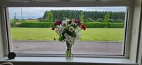 From the kitchen looking out