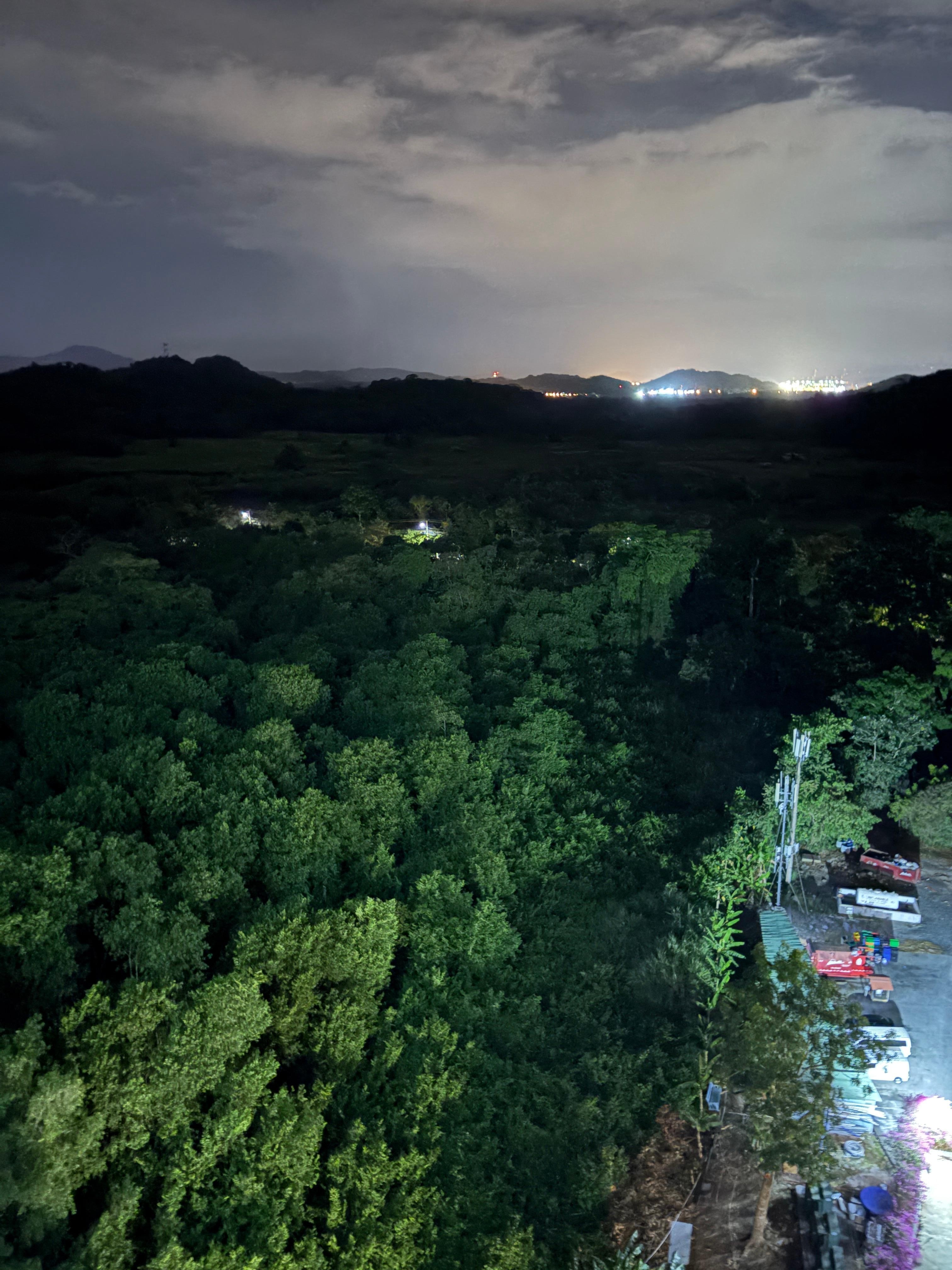 Tropical view from our room