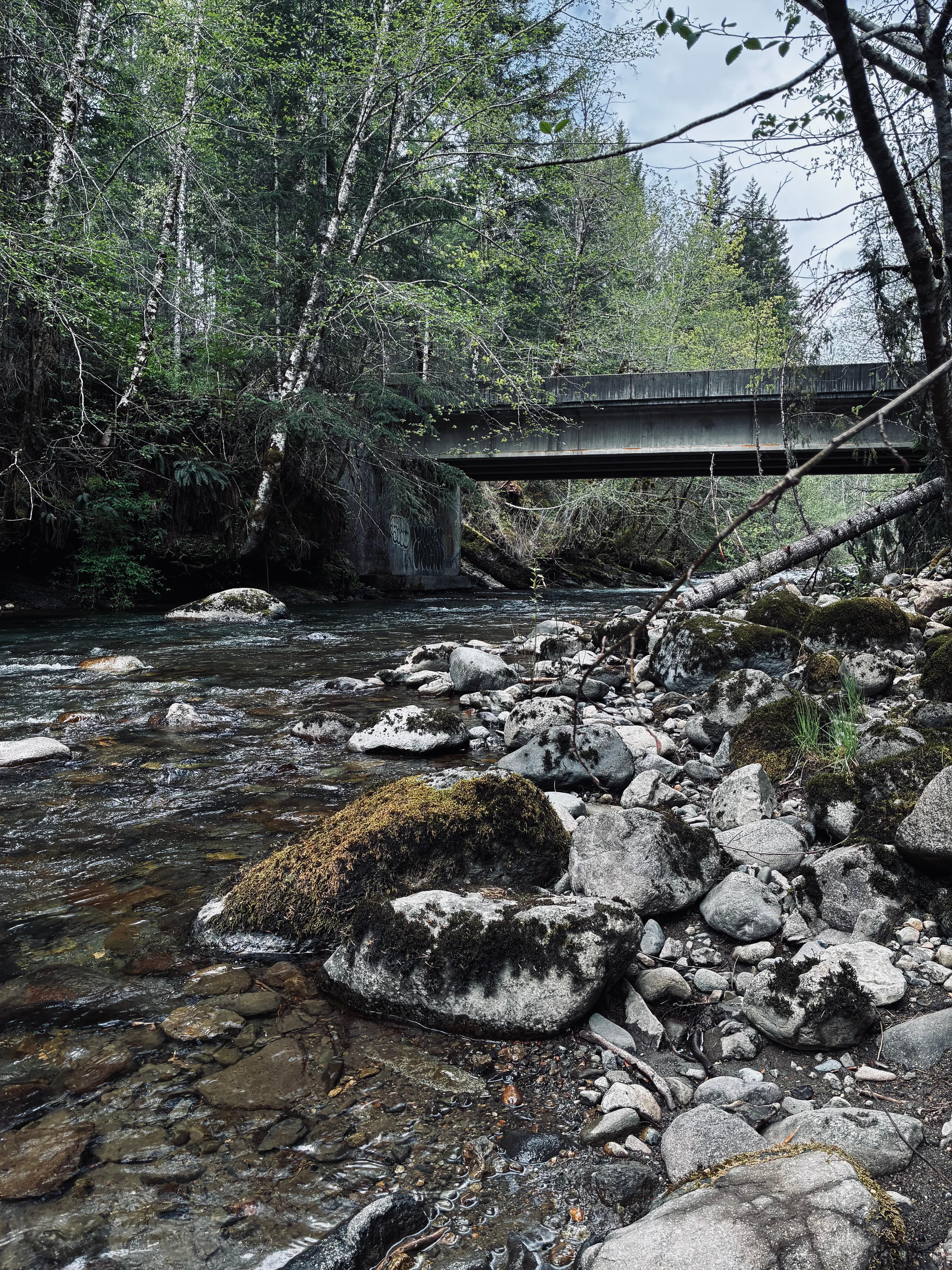Skate Creek where we had a picnic!