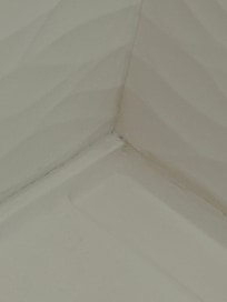 Gross bathrooms with mold