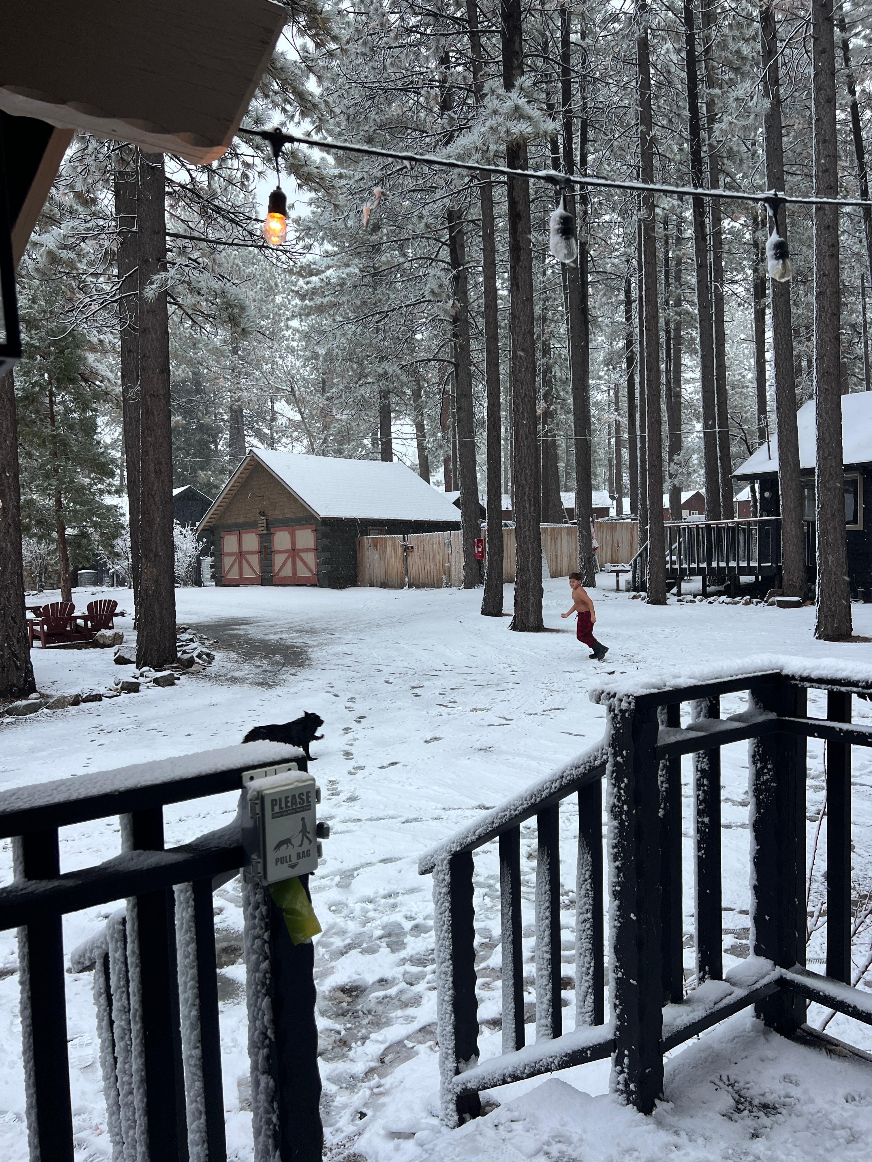 View from the porch, other canis are close by in case you want to go with other families.