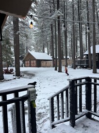 View from the porch, other canis are close by in case you want to go with other families.