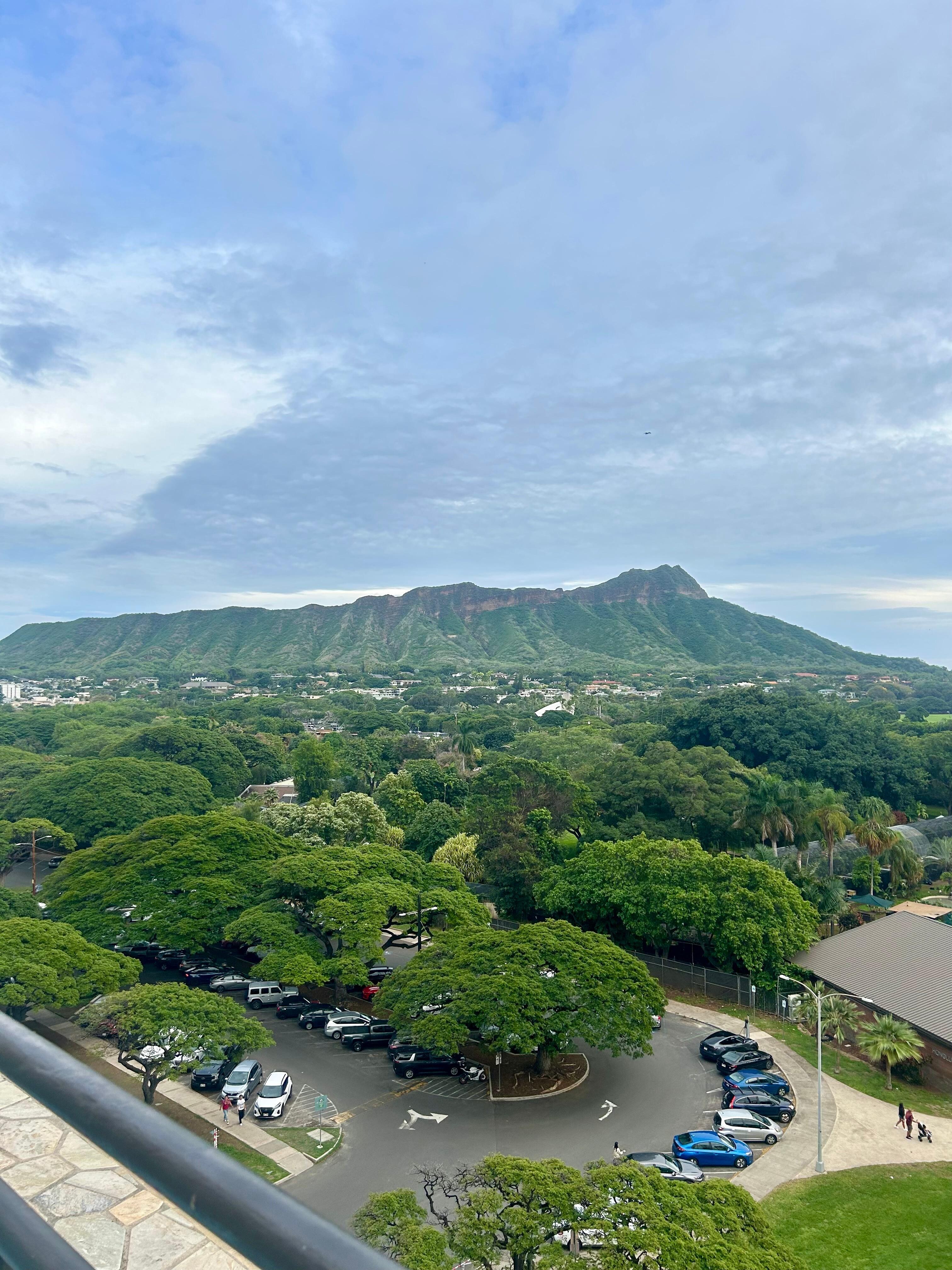 Beautiful views on the 10th floor shared area