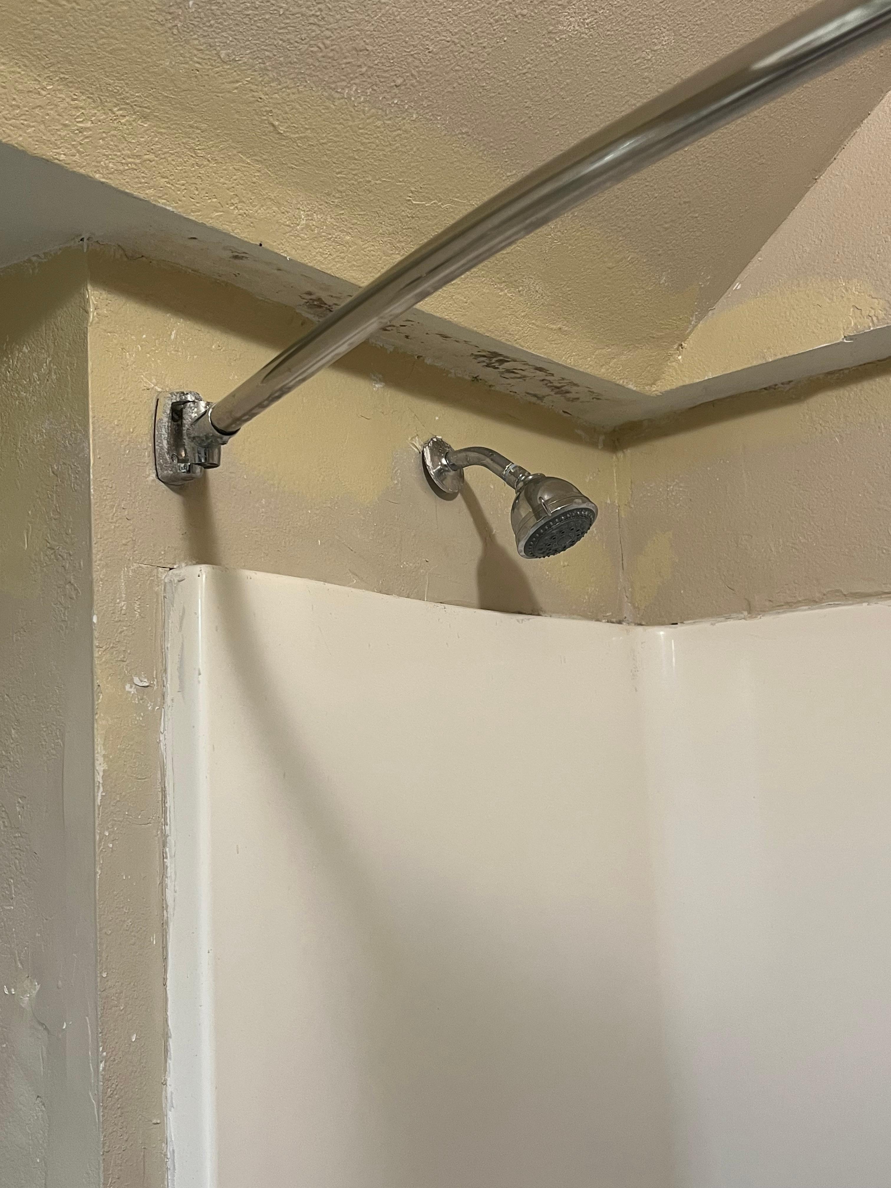 Black Mold