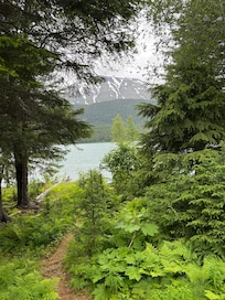 View from the house towards the lake.